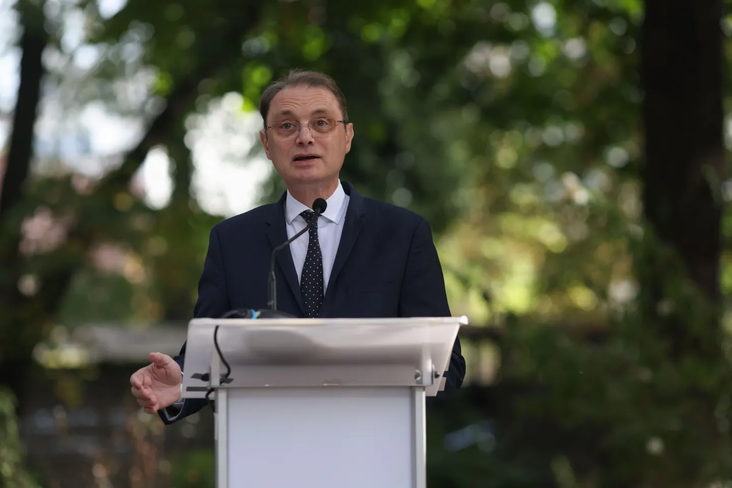 Luca Niculescu și premierul Bulgariei, Rumen Radev, au discutat despre securitatea Mării Negre și protecția navigației