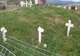 Crucile eroilor români din Ansamblul de la Socond, vandalizate!
